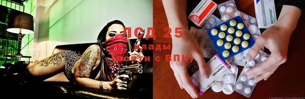 ешки Ессентукская