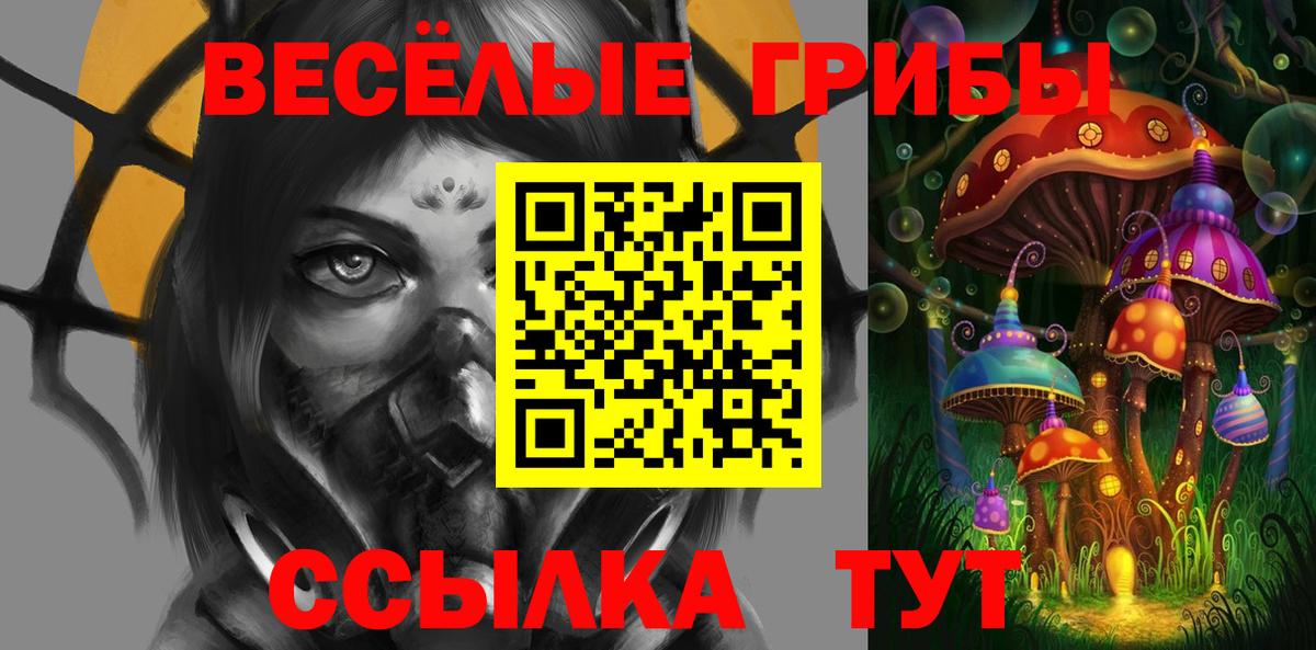 Россия  Псилоцибиновые грибы Psilocybe  Вход с VPN  Псилоцибиновые грибы GOLDEN TEACHER 